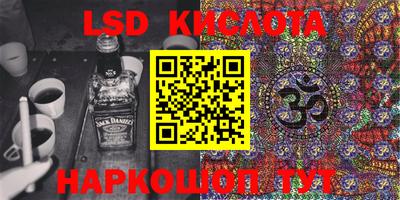 шишки Донской