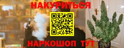 шишки Донской