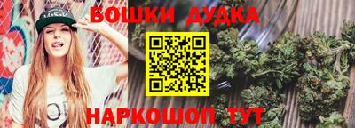 дмт Дубна