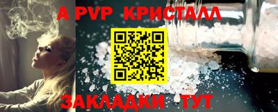 шишки Донской