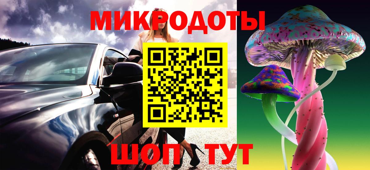 наркотики  Псилоцибиновые грибы MAGIC MUSHROOMS  Вход с VPN  Канск 