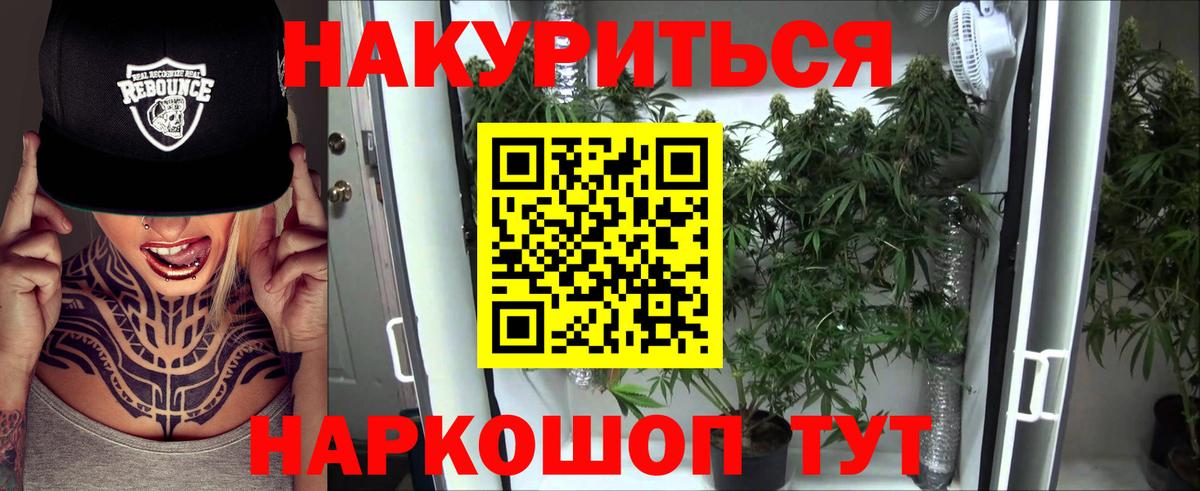 Каннабис White Widow  Бошки Шишки планчик  Вход с VPN  Канск  Шишки марихуана план  Канабис тримм 